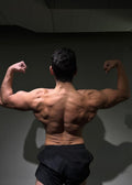Back Specialization Program